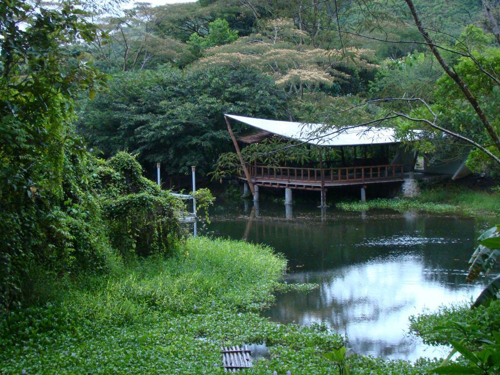 Rancho Margot Sustainable & Self Sufficient Eco Lodge El Castillo Exterior photo